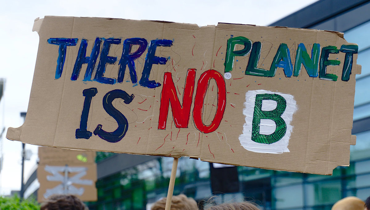 Plakat auf Demo, there is no planet b